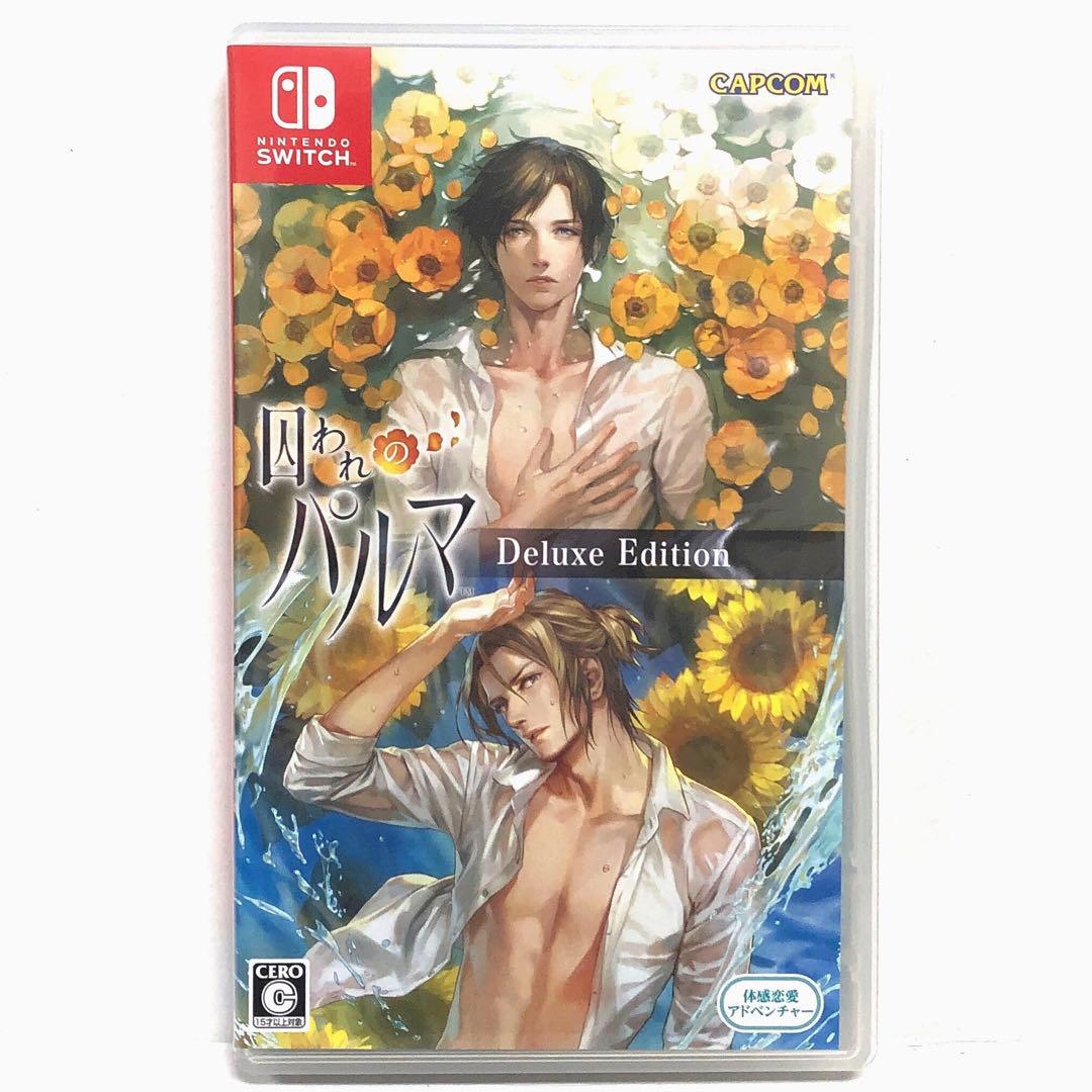 20▢囚われのパルマ デラックス エディション Switch KM0603-2