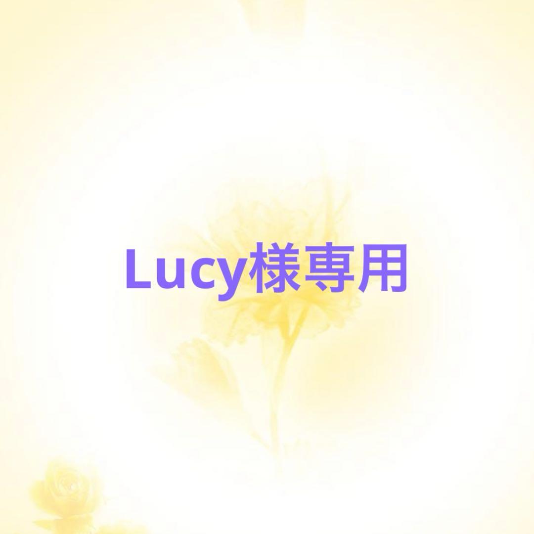 Lucy　4点