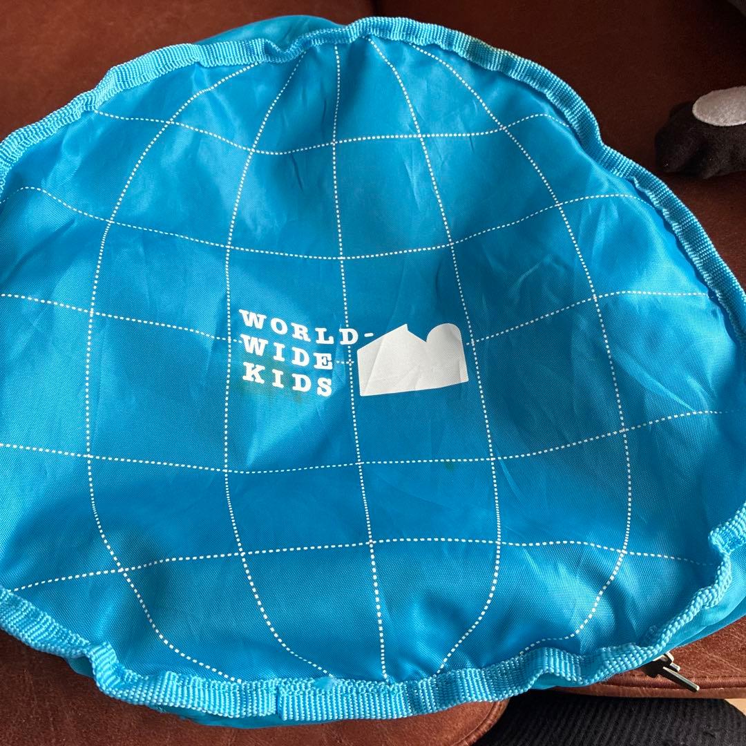 幼児英語教材ワールドワイドキッズ　DVD・CD ・CD-ROM パペット付き