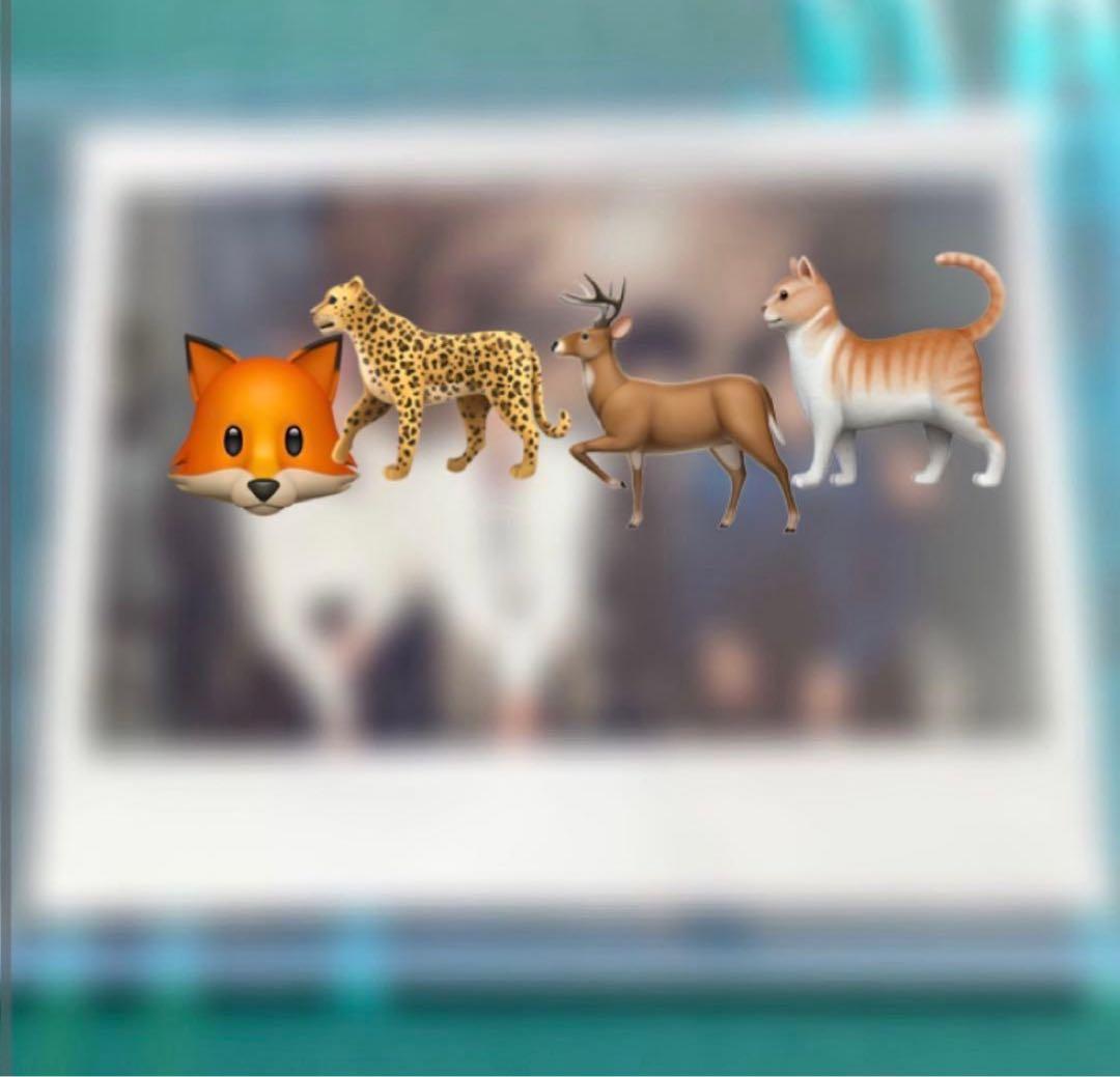 ENHYPEN トレカ dilemma ポラロイド チェキ 直筆 サイン