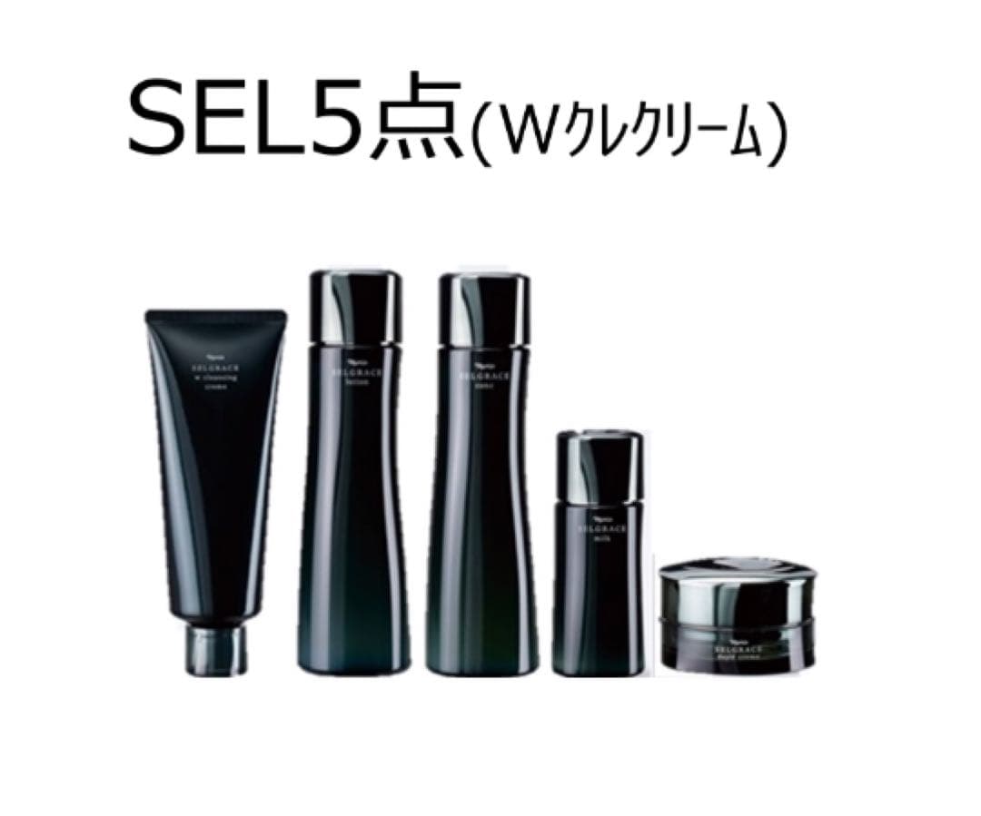【大幅値下げ！】ナリス セルグレース スキンケア5点セット