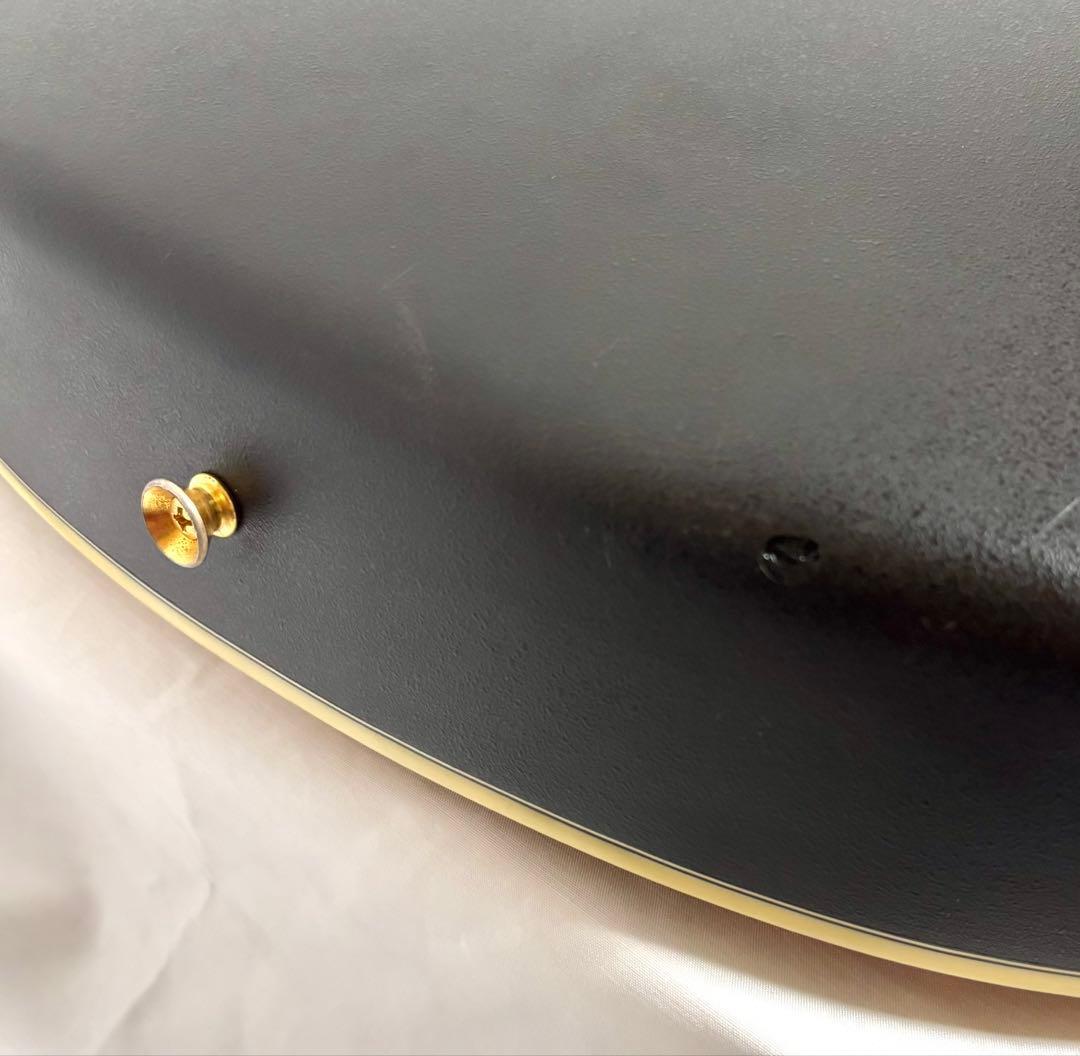 【新品弦張替済】Morris エレアコ TC-1 CUS