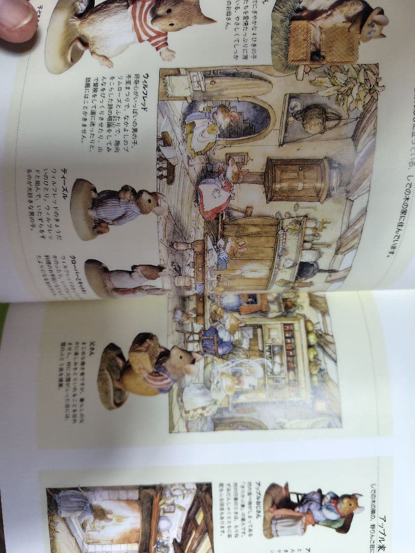 のばらの村をたずねて ジル・バークレムの世界　1997年9月15日　初版本