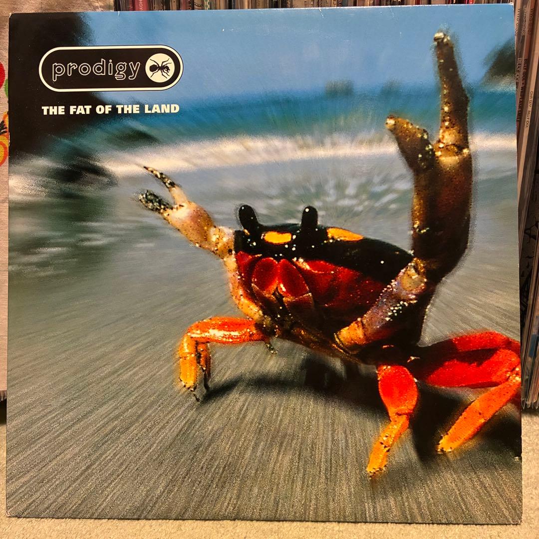 Prodigy /The Fat of the Land レコード
