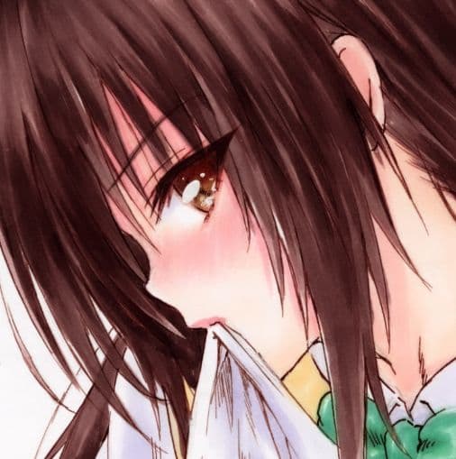 椎*つ様 手描きイラスト アナログ ファンアート ToLoveるダークネス　古手