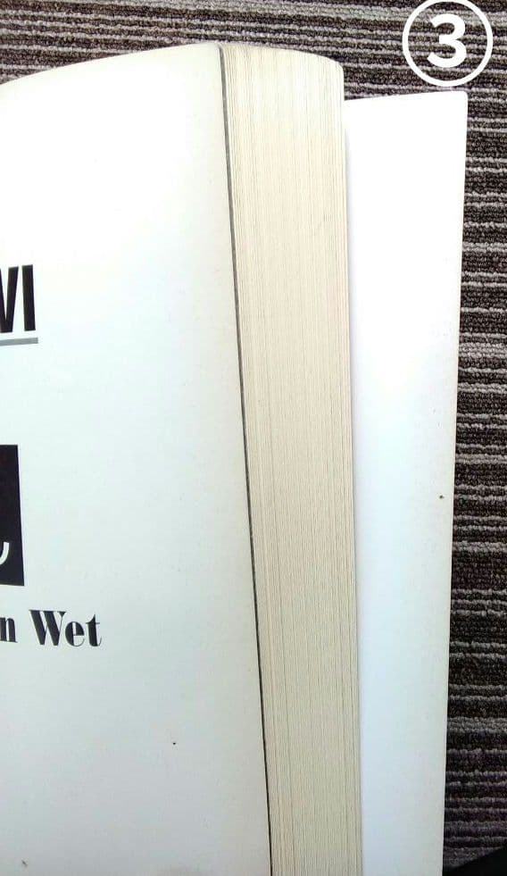 スコア Bon Jovi 楽譜 ボン・ジョヴィ 初版のみ まとめ売り シンコー