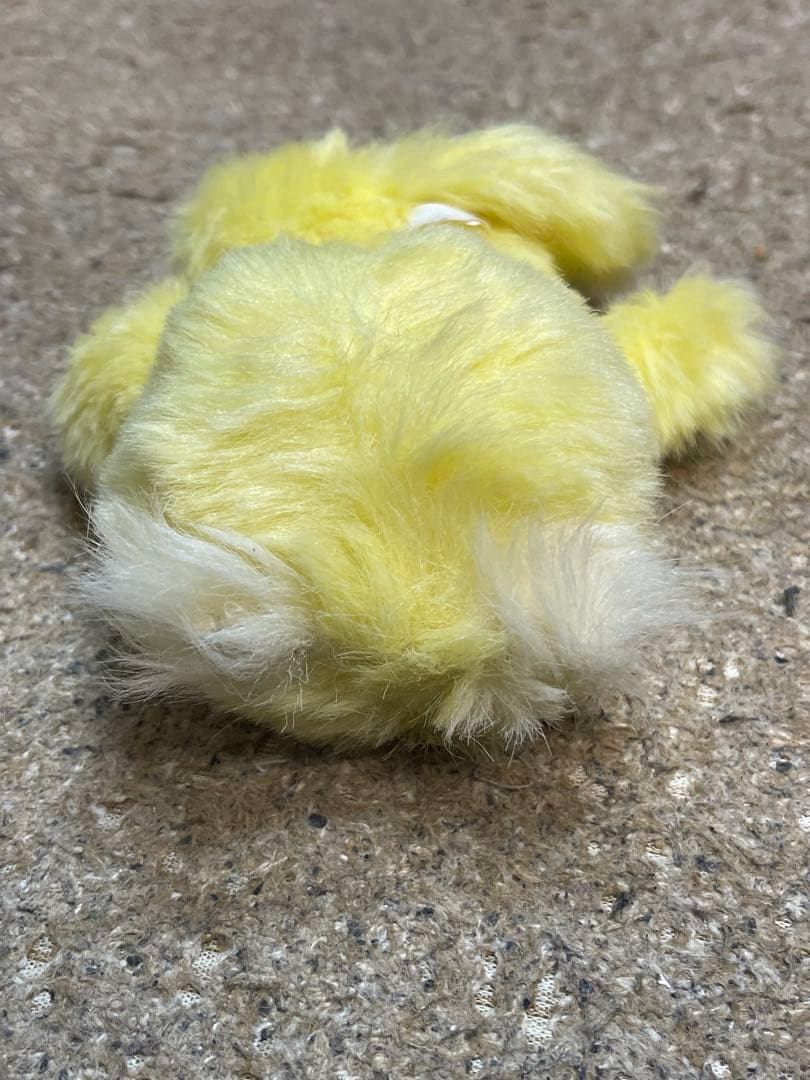 モンチッチ　レア　3体セット