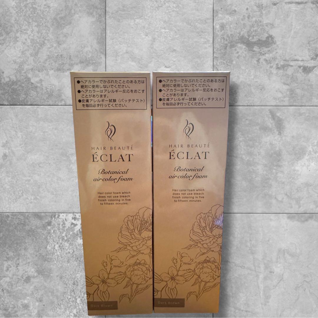 ヘアボーテ エクラ ボタニカルエアカラーフォーム ダークブラウン 2本セット