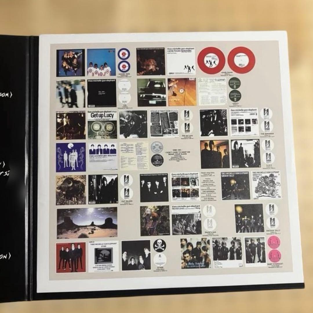 ミッシェルガンエレファント　12inch レコード2枚組　TMGE106