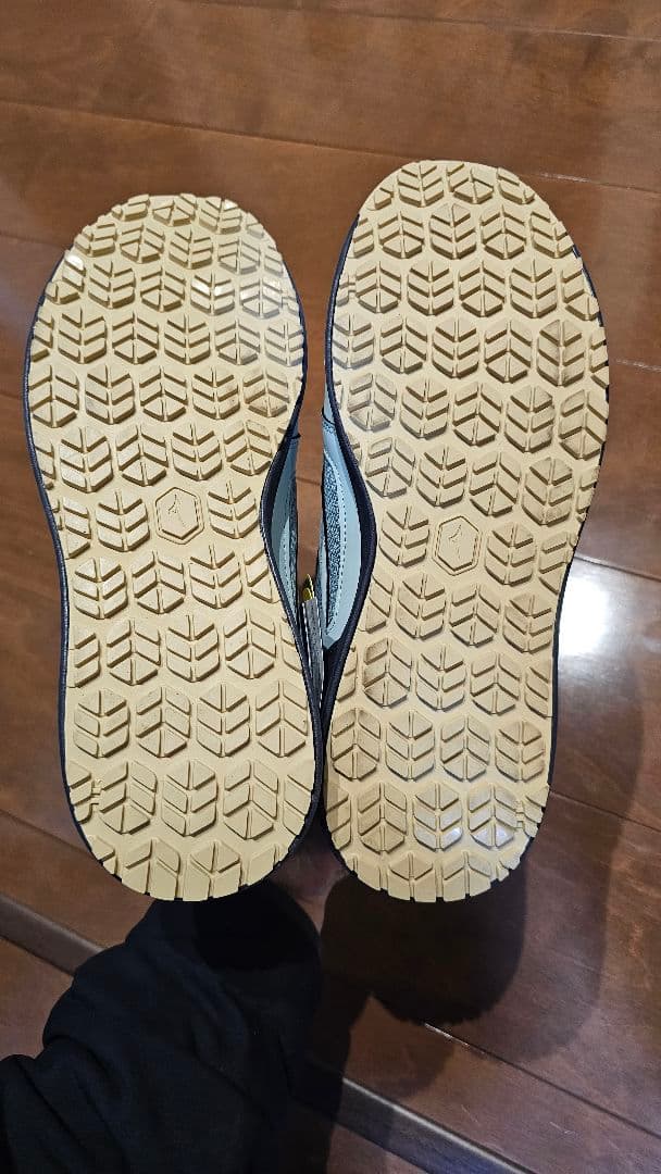 ミズノ　オールマイティ LSⅡ 73M BOA 安全靴 限定カラー26.0