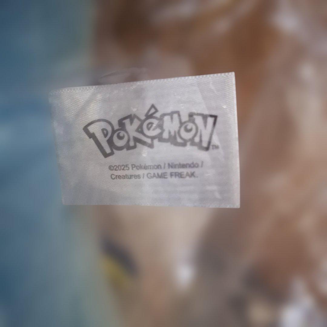 未開封　ポケモン　アメリカ　すやすや　シャワーズ　ぬいぐるみ　Sleep