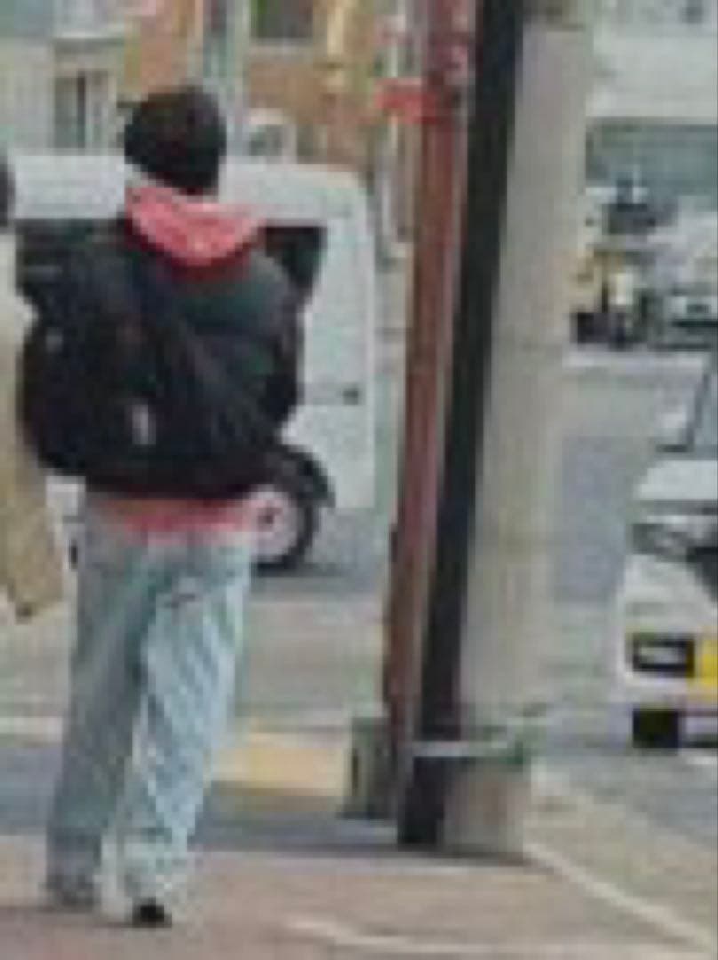 正規品 Polar Skate Co ポーラー ビッグボーイ ライトブルー