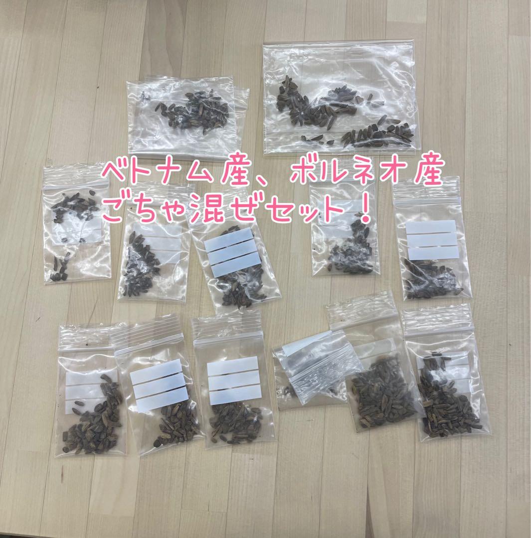 しずろ 沈香 日本香堂 ベトナム産 ボルネオ産 香木 チップ 電子香炉用