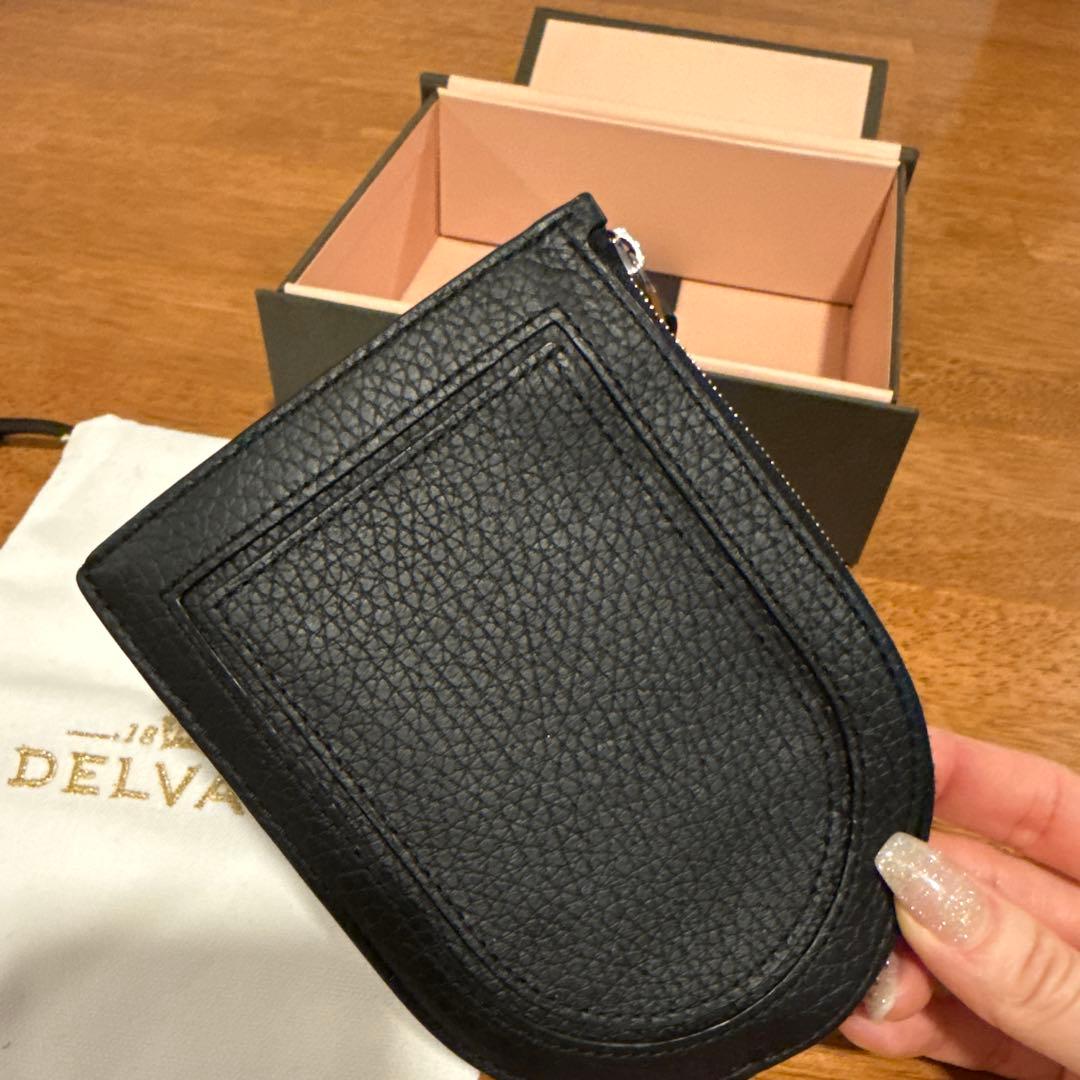 DELVAUX パン D マルチファンクション