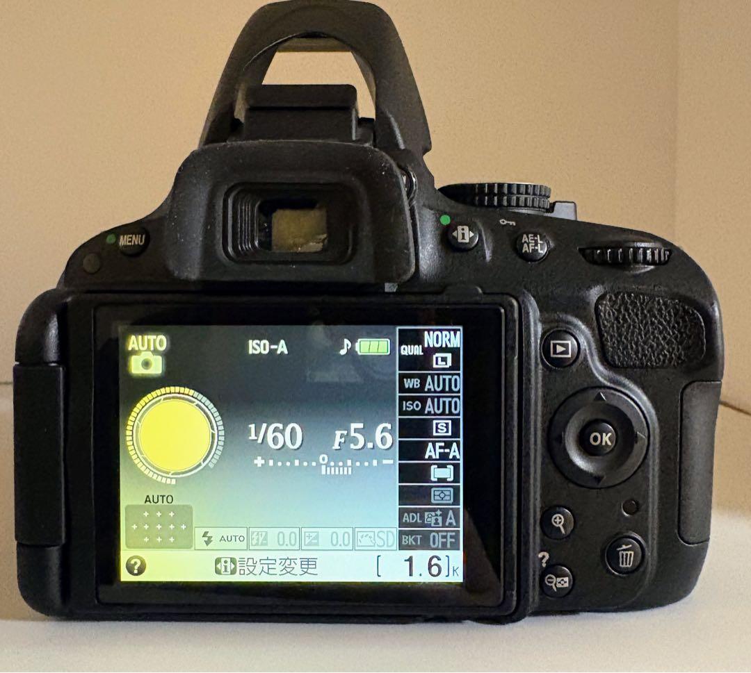 S数100回未満！Nikon D5100★初心者向け★転送OK★普段使いに最適