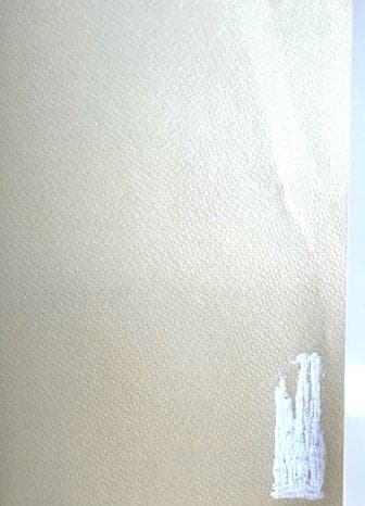 薔薇　布上るい著