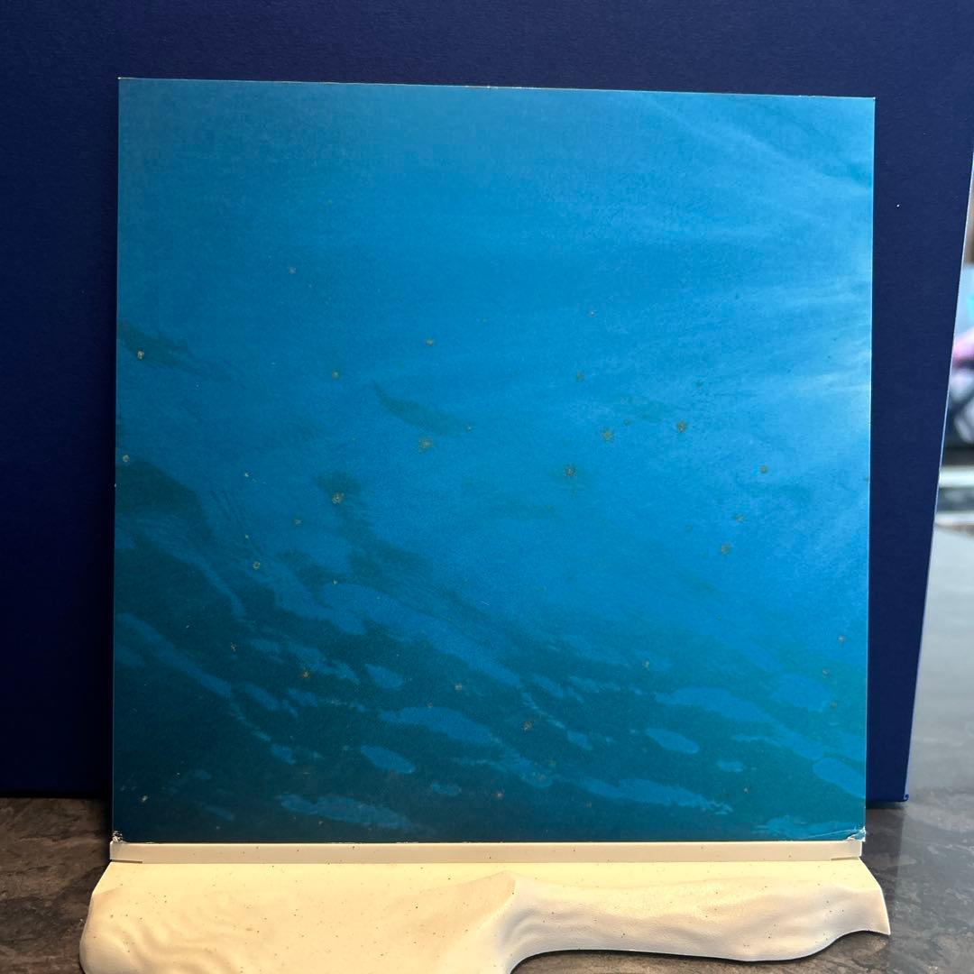 2006年限定 SWAROVSKI スワロフスキー エタニティ