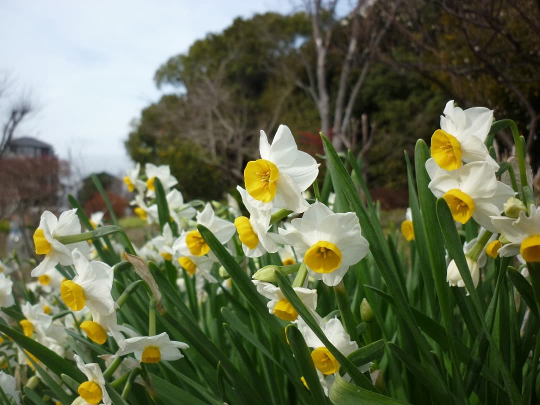 追加有り⭕️良品【動作確認済】Panasonic LUMIX DMC-FS7