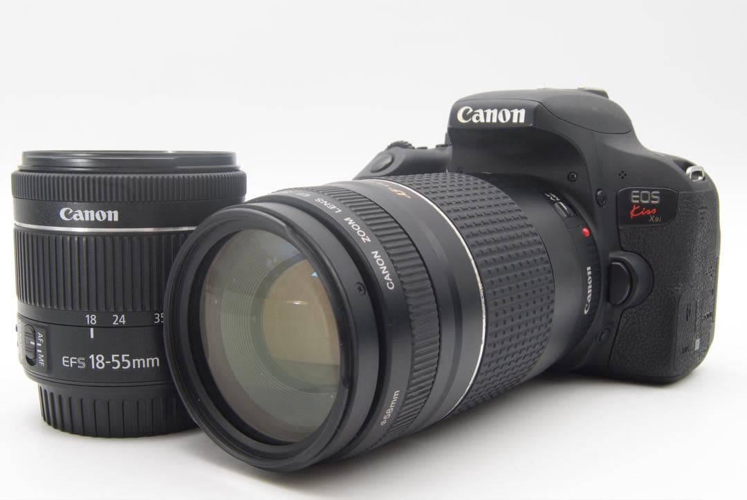 【人気機種】Canon EOS Kiss X9i ダブルレンズ　充実付属品セット
