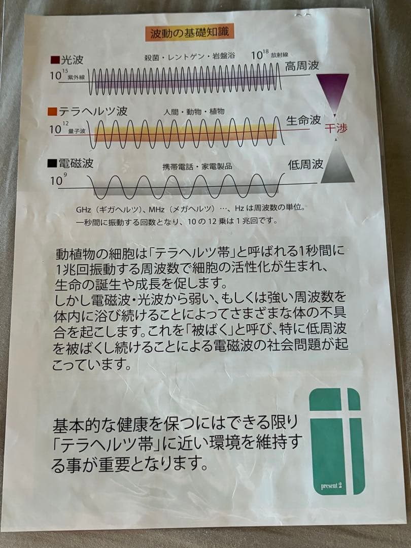 新品未使用　テラチップ ネックレス