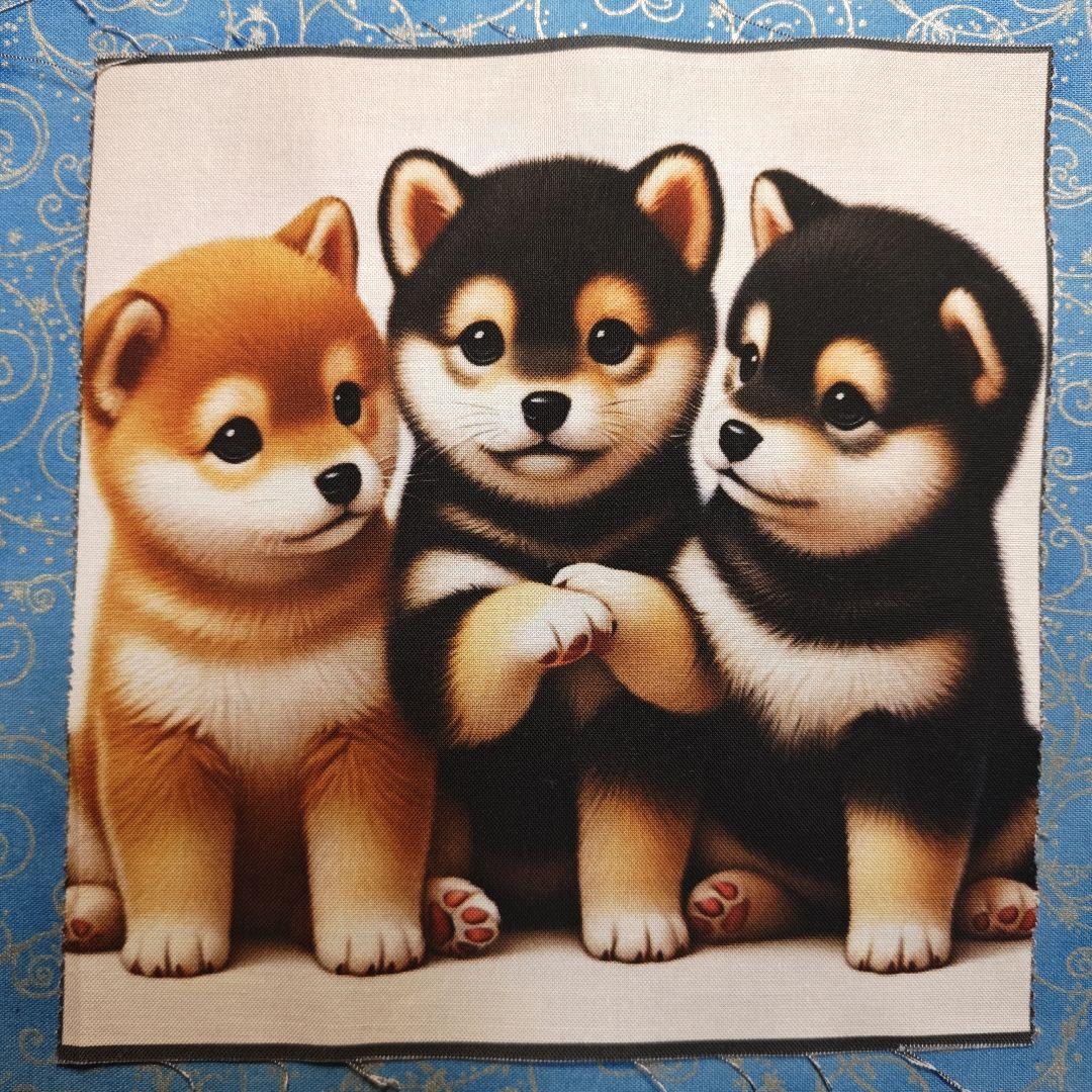 ご確認用　No1 モグモグ　ハンカチ5枚　パネル8枚　柴犬柄