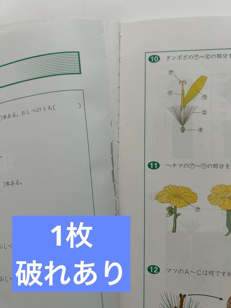 四谷大塚　予習シリーズ　まとめ売り