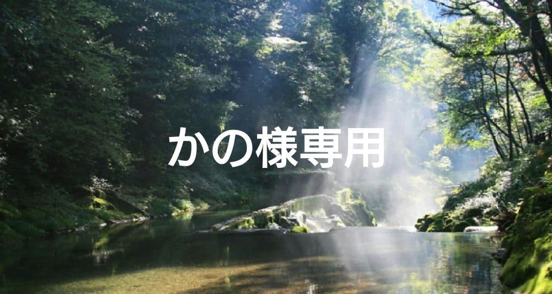 かの✨特典付電磁波防止✨本物CMCペンダントUSA版2本お値引