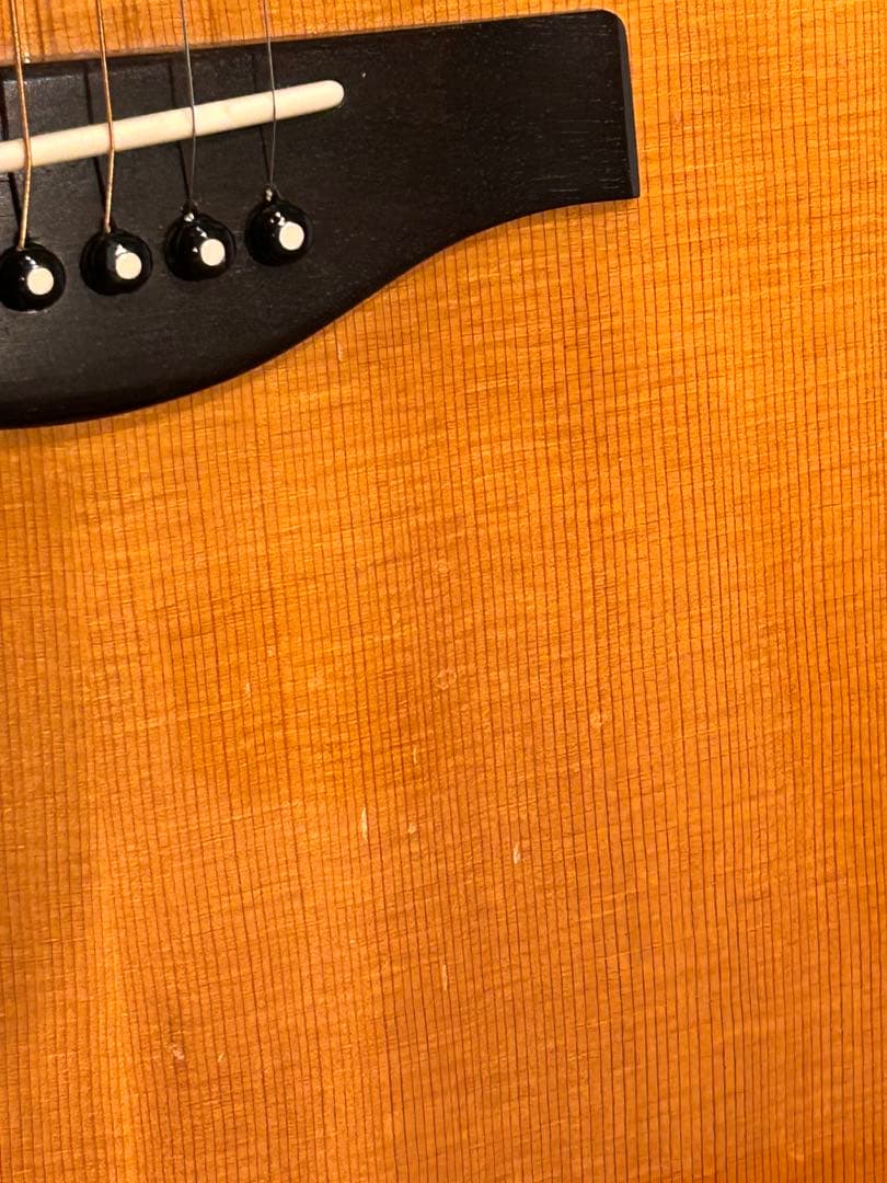 YAMAHA LL36 ピックアップ付き　専用ハードケース付き