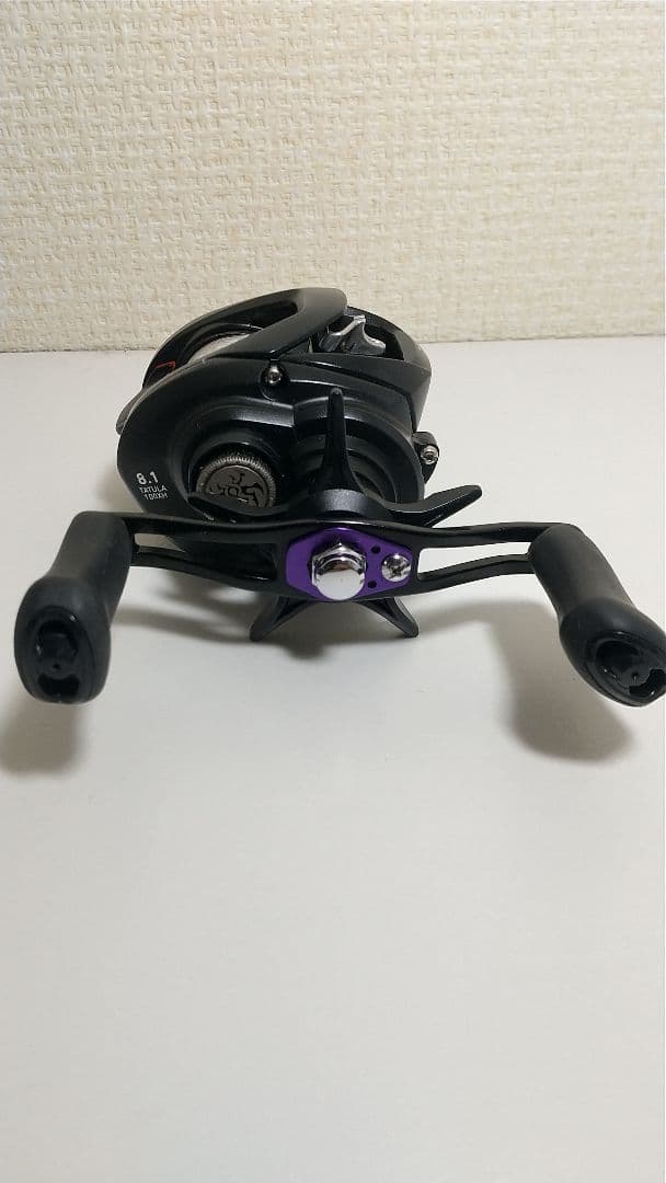 ダイワ タトゥーラ TW 100XH 右巻き