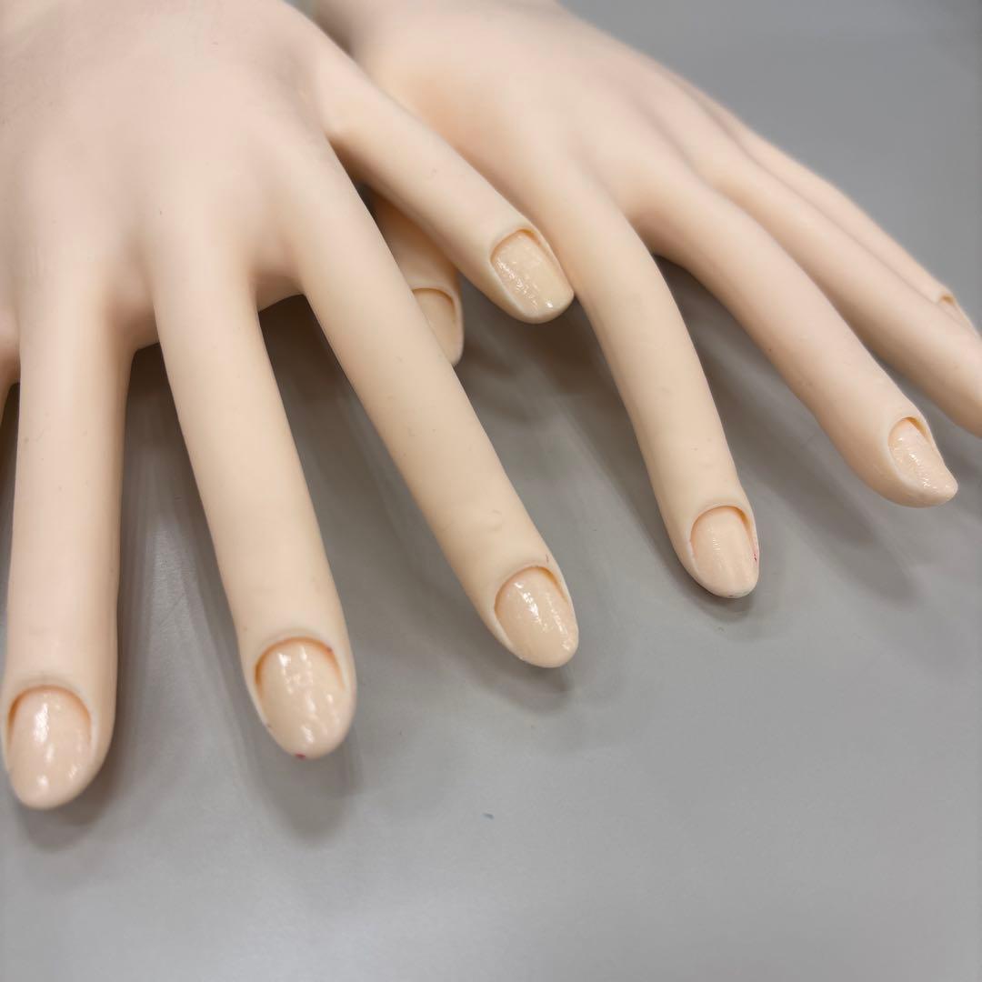 JNEC認定モデルハンド 両手