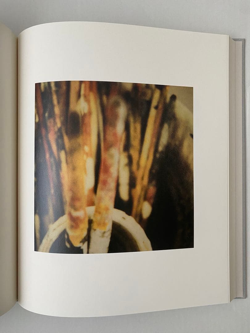 Cy Twombly サイ・トゥオンブリーの写真　変奏のリリシズム