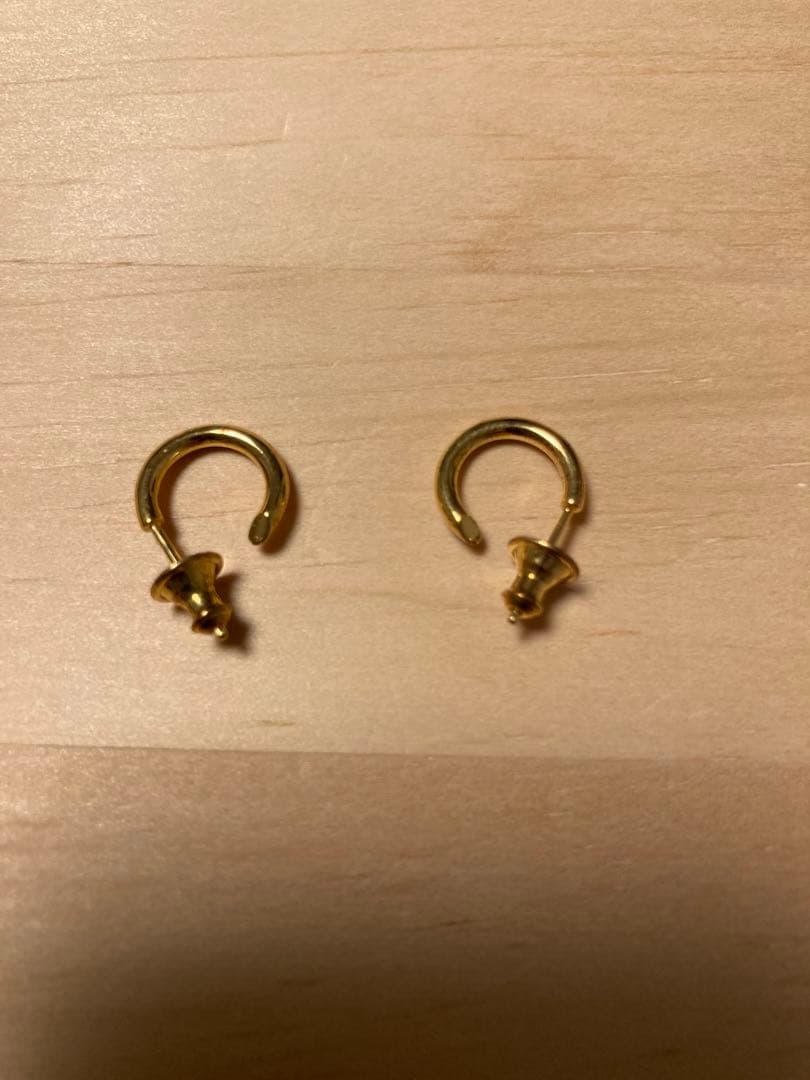 CAREERING｜PLACEBO（プラシーボ）ピアス