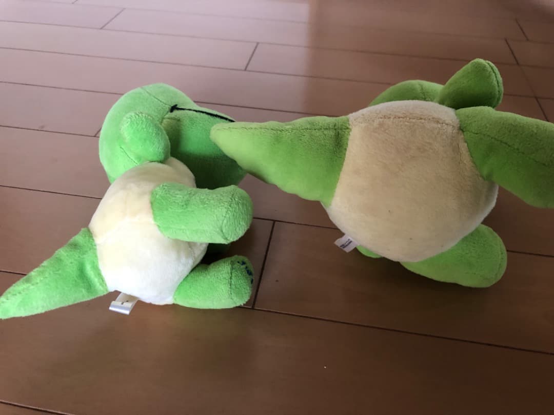 恐竜博物館　ぬいぐるみ　ジュラチック　かみつき　ラプト　　福井　NEWS　増田