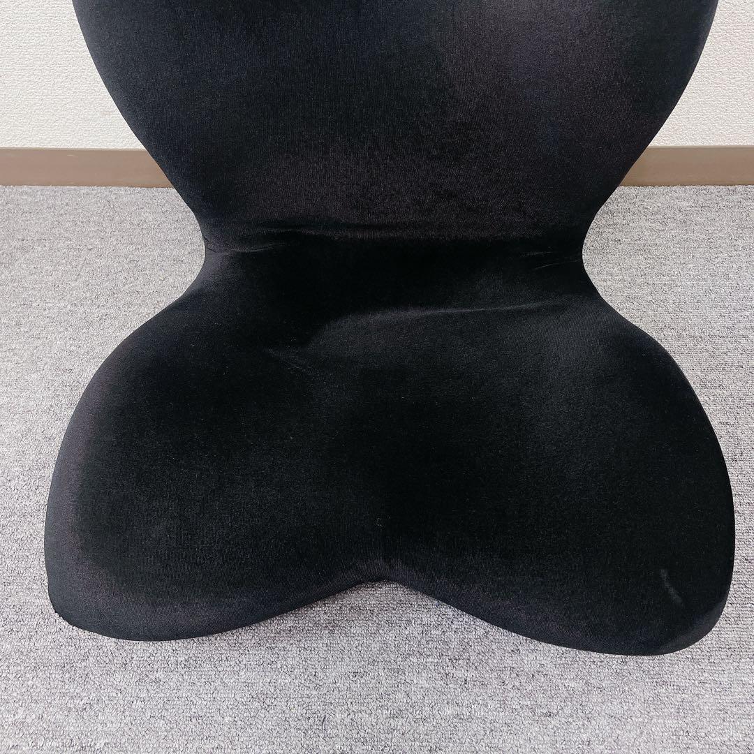 MTG Style PREMIUM DX 骨盤矯正 姿勢矯正クッション