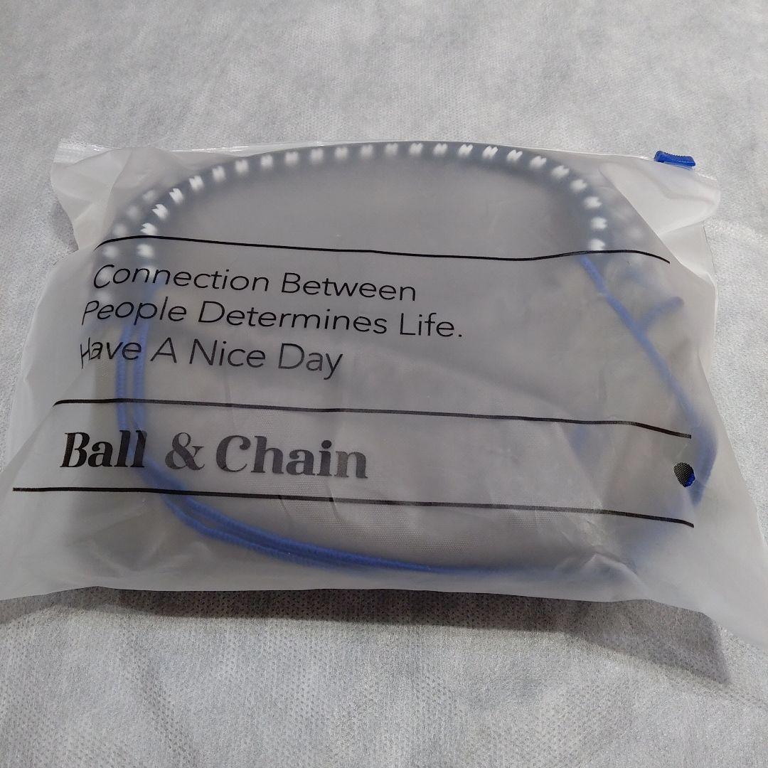 ボールアンドチェーン 深川製磁 Tea pot （Mサイズ）