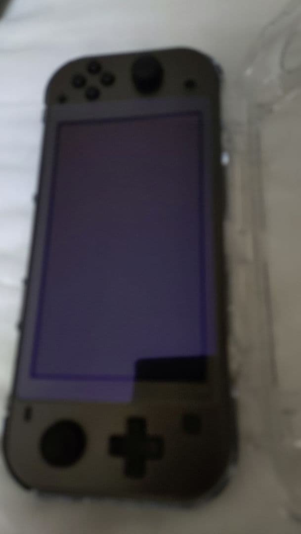 Nintendo Switch Lite ディアルガ パルキア 本体 箱付き