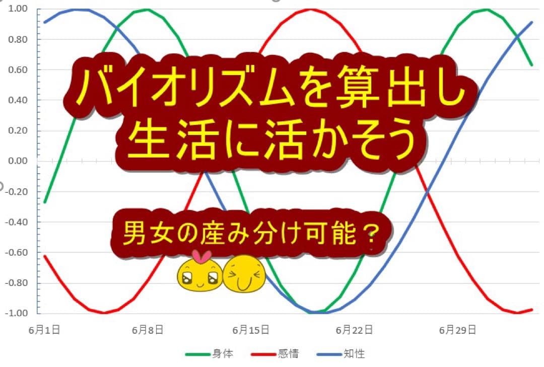 【稀少品！残り1個！】政木式バイオリズム計　政木和三　占い　運勢　新年　2026