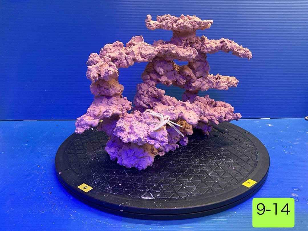 人工ライブロック　No.9-14 9-12 まとめて2個購入