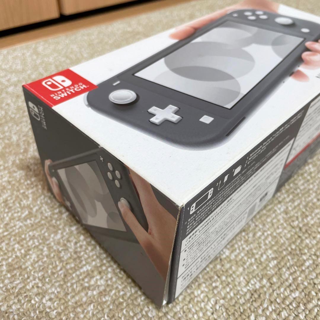 Nintendo Switch Lite グレー 本体 充電器 ケース