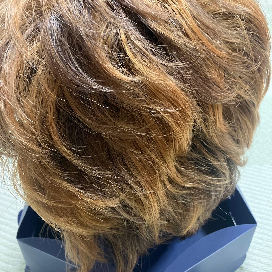 VALAN ヴァラン 人毛 ウィッグ ブラウン系 クリップ付き 中古