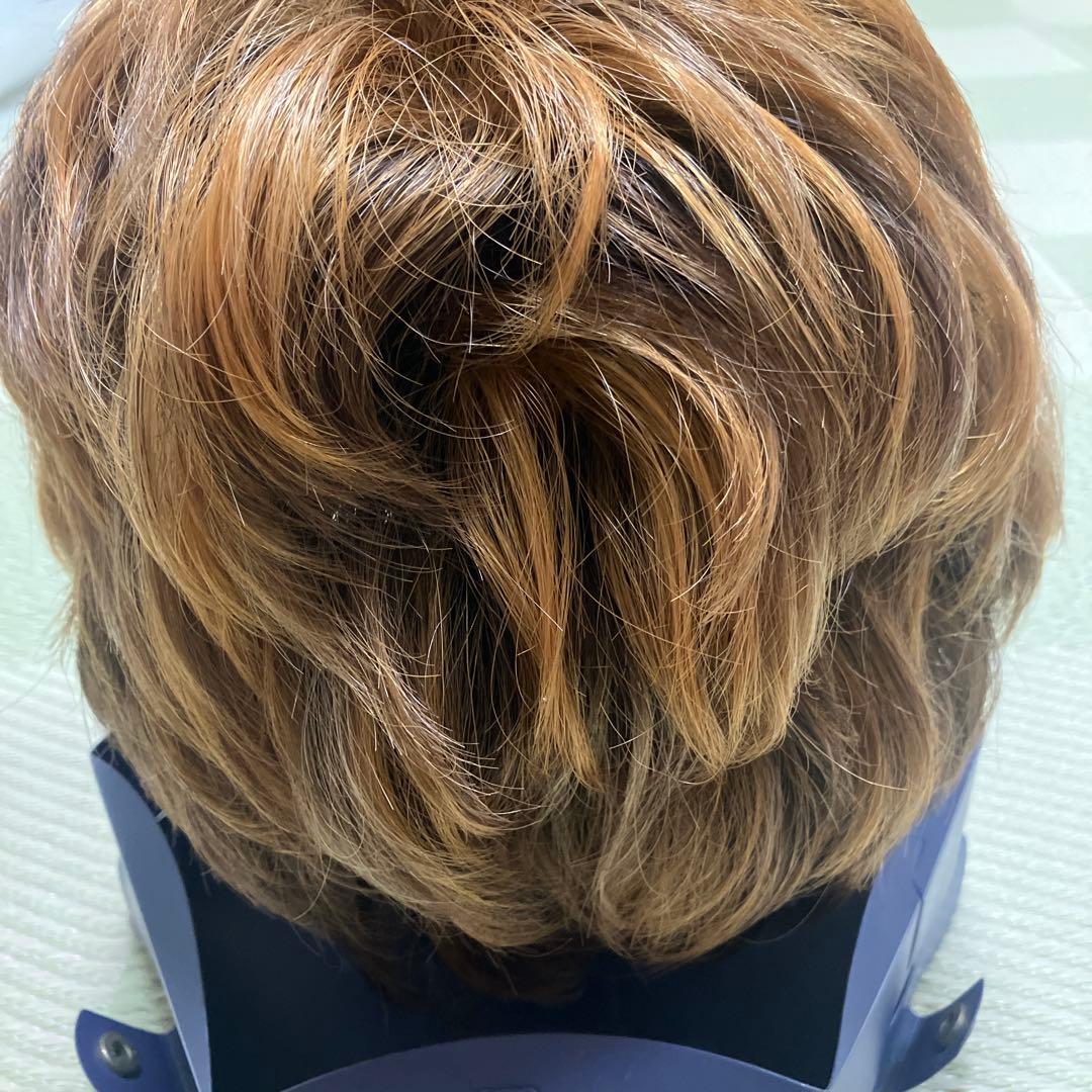 VALAN ヴァラン 人毛 ウィッグ ブラウン系 クリップ付き 中古