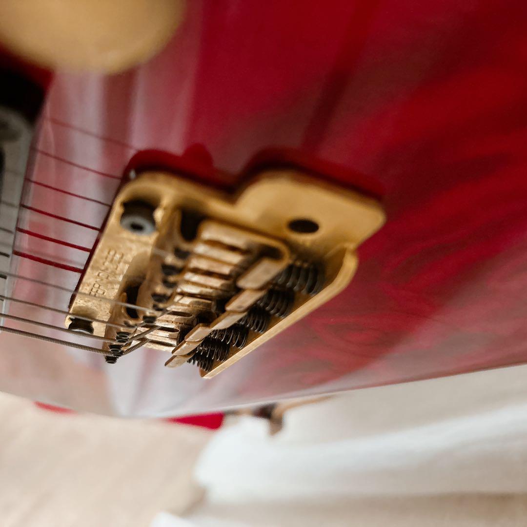 FERNANDES FA-10 エレキギター アーム付 説明書・ストラップ付