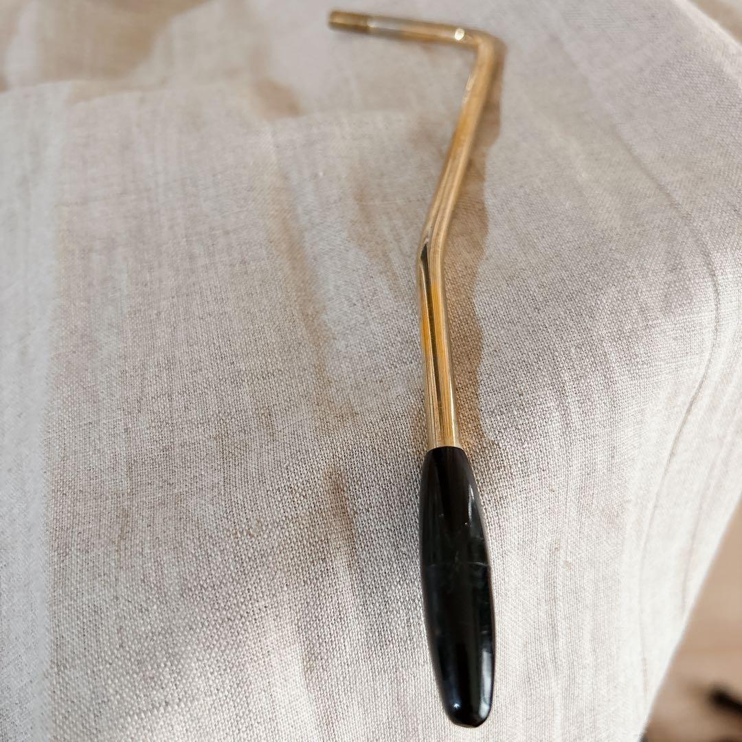 FERNANDES FA-10 エレキギター アーム付 説明書・ストラップ付