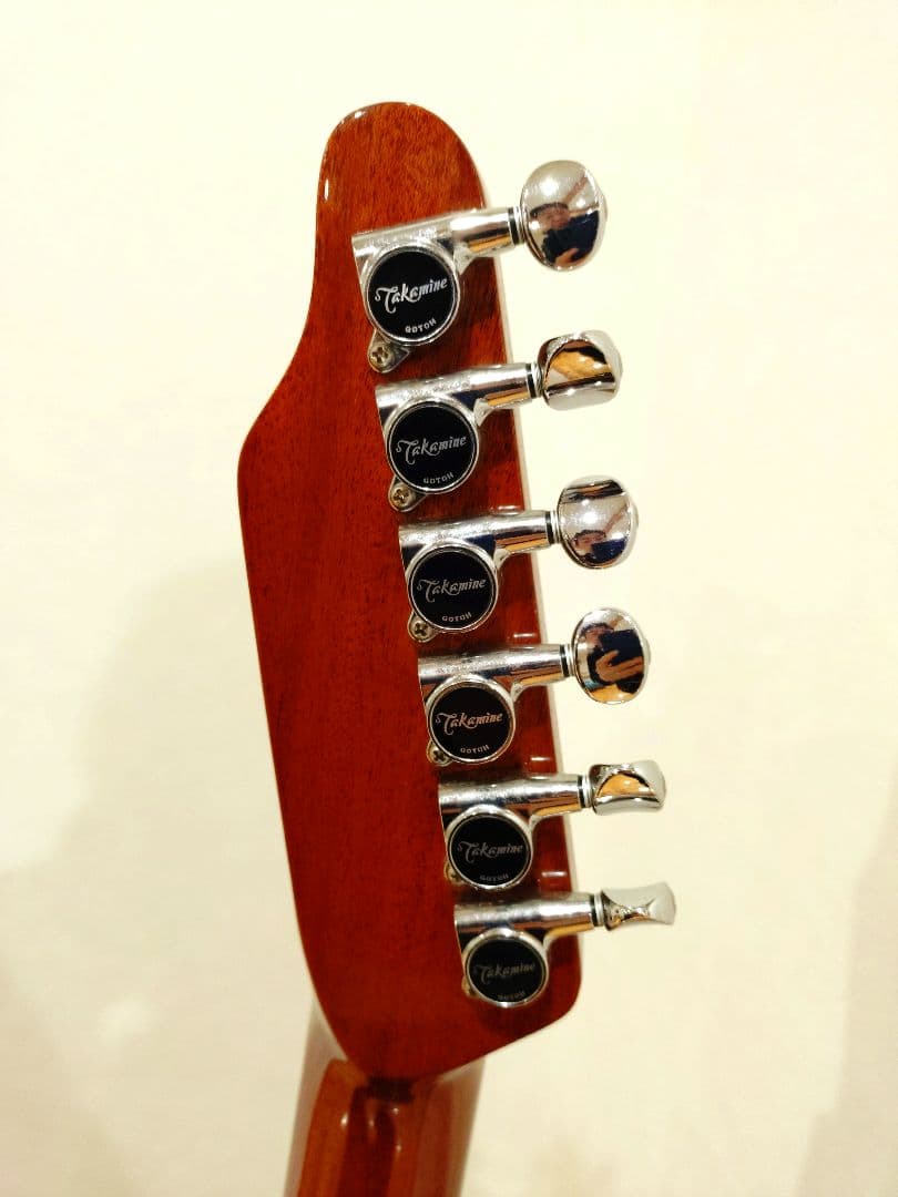 長渕剛モデル Takamine DMP500-6BL