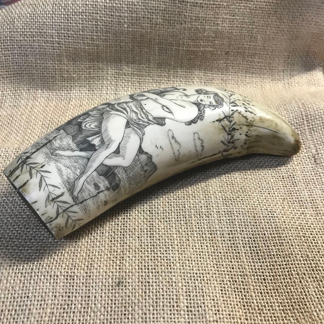 スクリムショー　鯨歯　クジラ　牙　彫刻