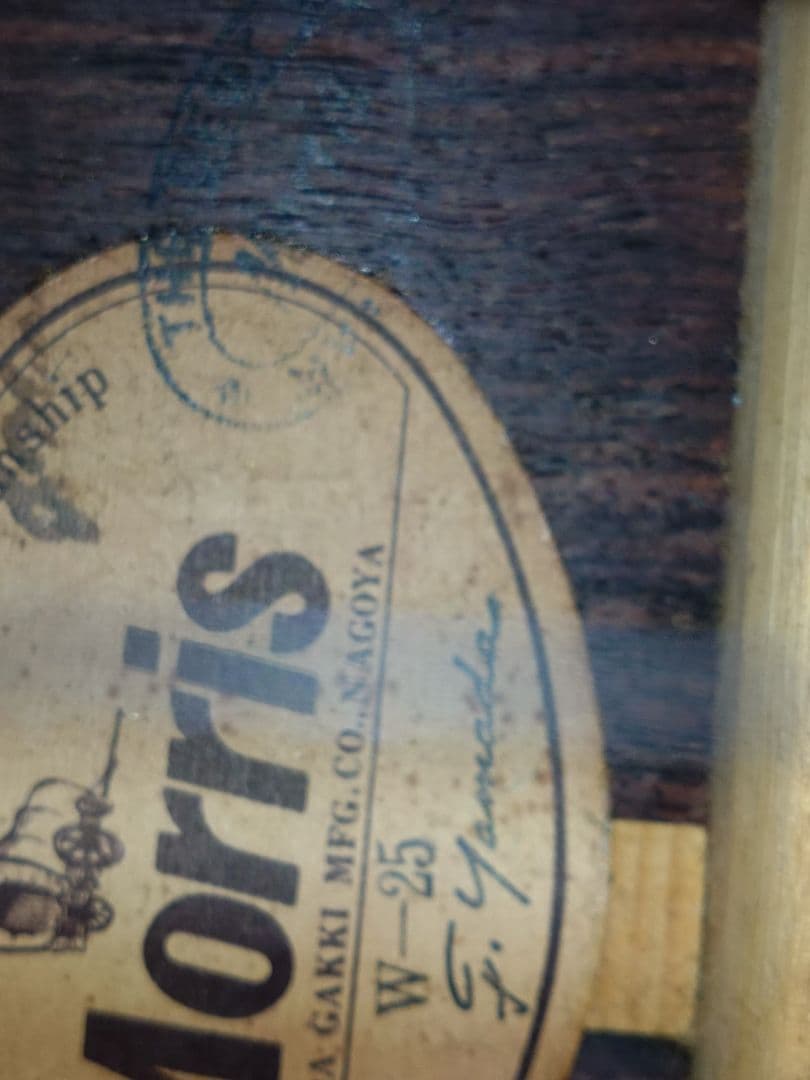 モーリス　Morris w-25 アコースティックギター ハードケース付き