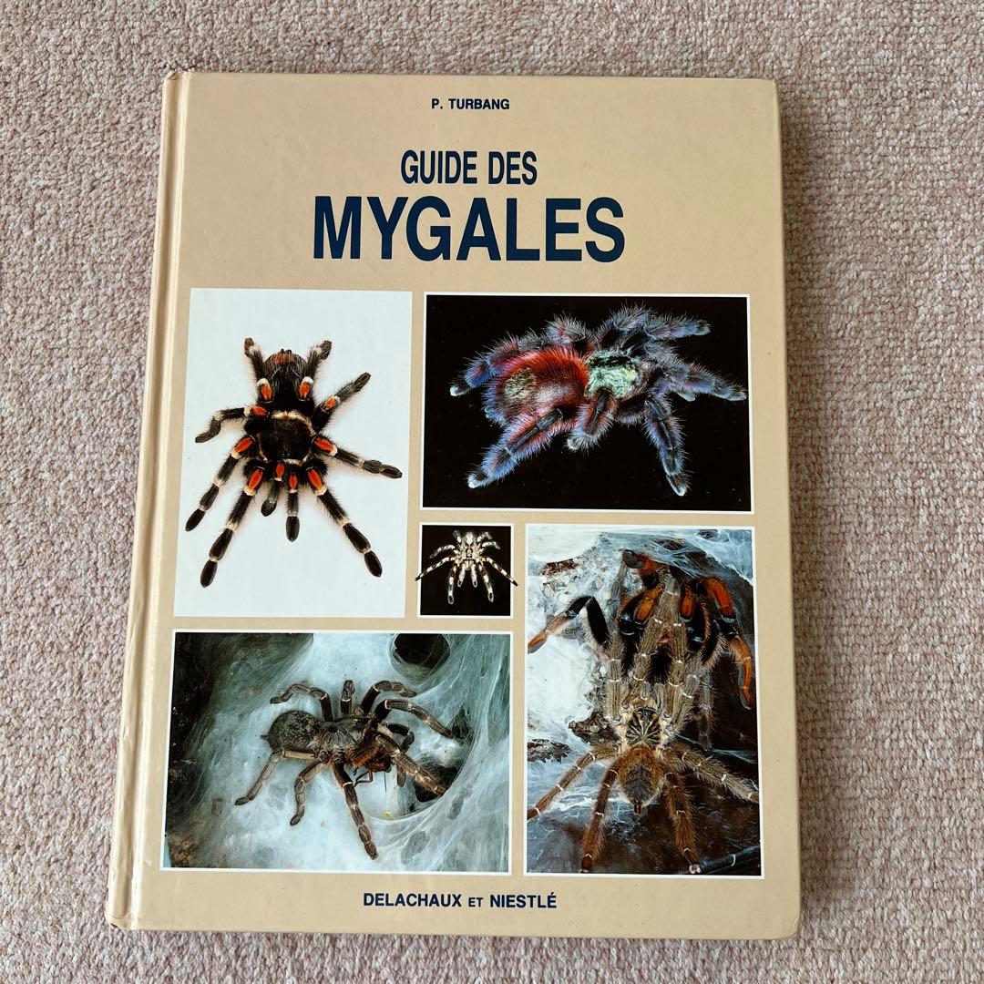 洋書　GUIDE DES MYGALES タランチュラなど