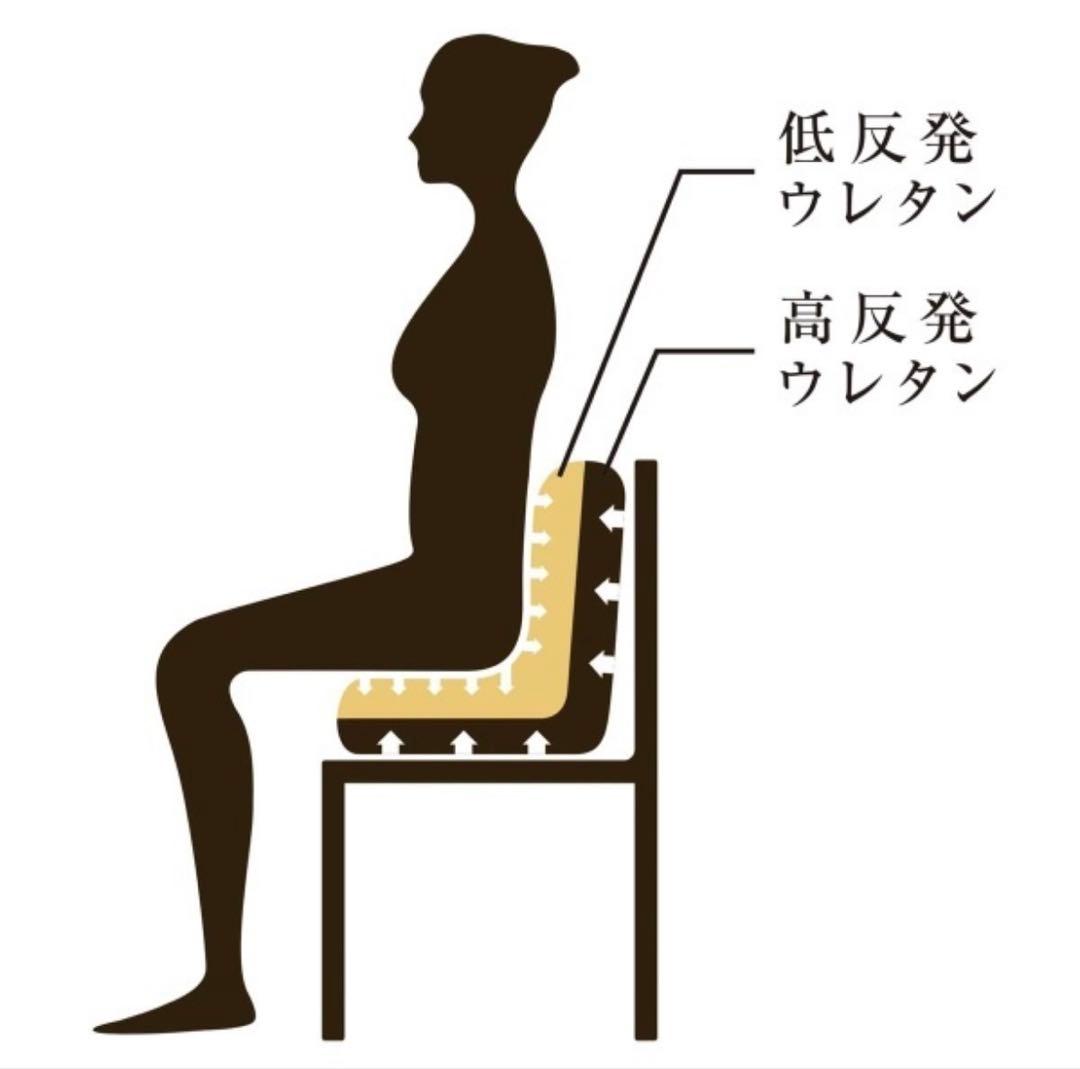 【美品】MTG Style PREMIUM スタイルプレミアム/ブラウン