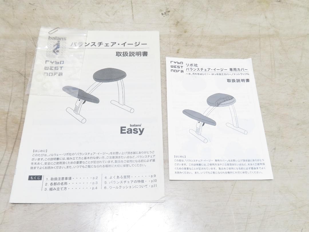 Rybo リボ社 バランスチェア イージー ライトグリーン 専用カバー付き