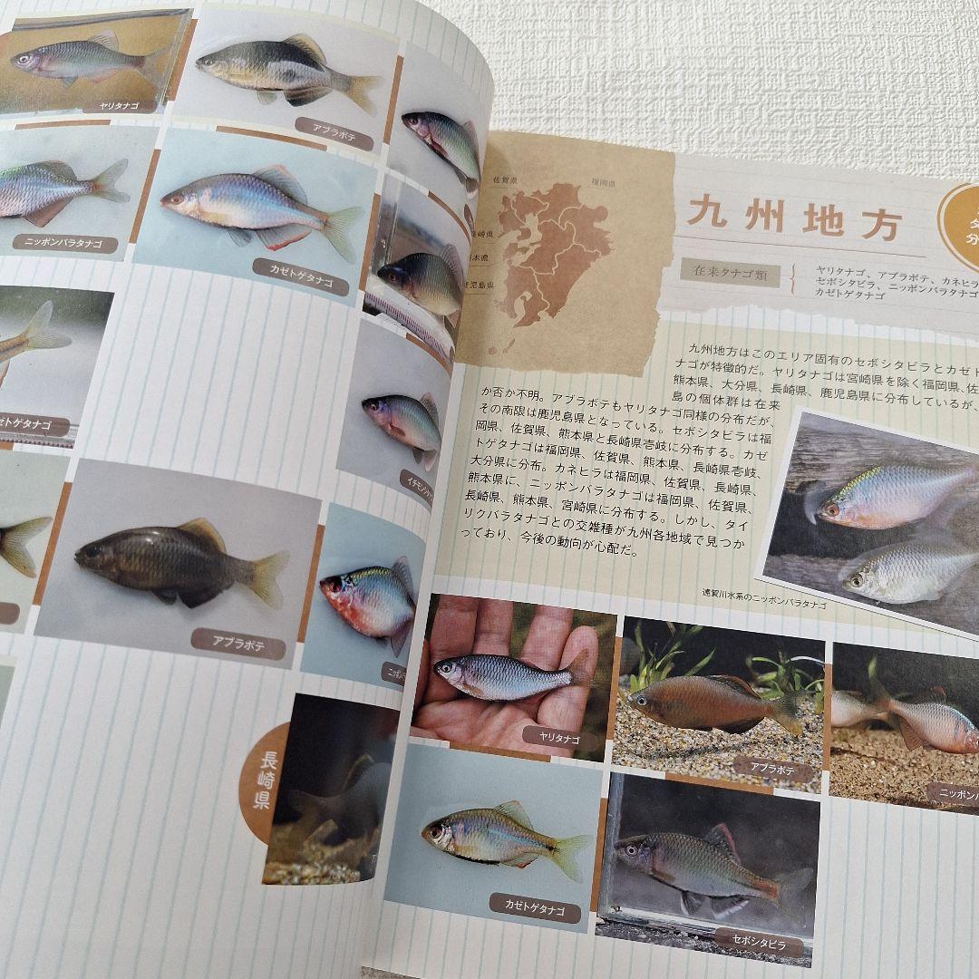 日本 タナゴ釣り紀行 1&2セット